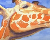 Giraffe Portrait 8x10 Print