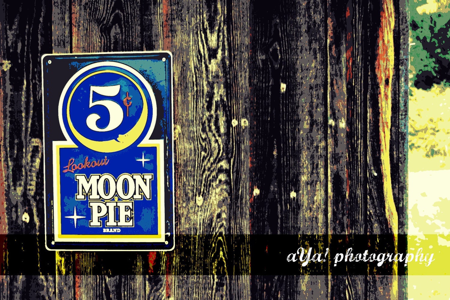 Moon Pie Love - 8x10 Photography print