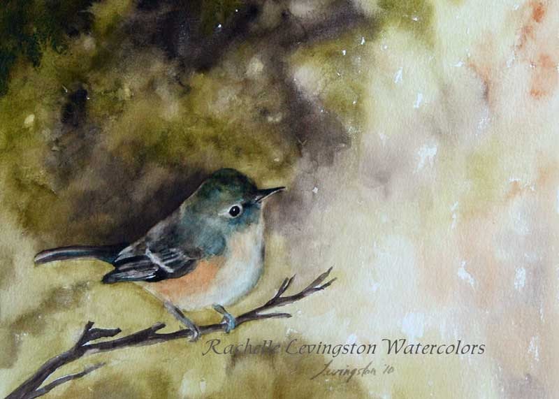 art nursery ART PRINT of bird Cottage Chic Decor of bird from watercolor Bell's Vireo bird painting 5x7 girl rustic vintage feel