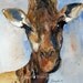 Giraffe art PRINT / Giraffe Print from Original Watercolor giraffe painting/ 8 x10 in yellow brown blue orange ( part of my jungle zoo set)