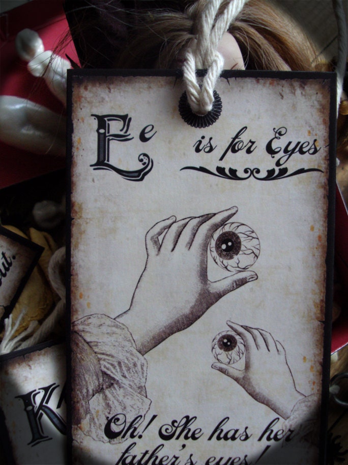 Anatomical Alphabet Flash Tags Edition Three Units Perfect Gift