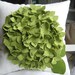 As Seen On Abc's GOOD MORNING AMERICA Hydrangea Pillow in Cream Linen and Sage/Pea Felt