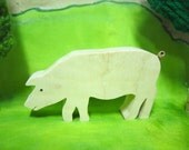 Perfectly pleasant Pig