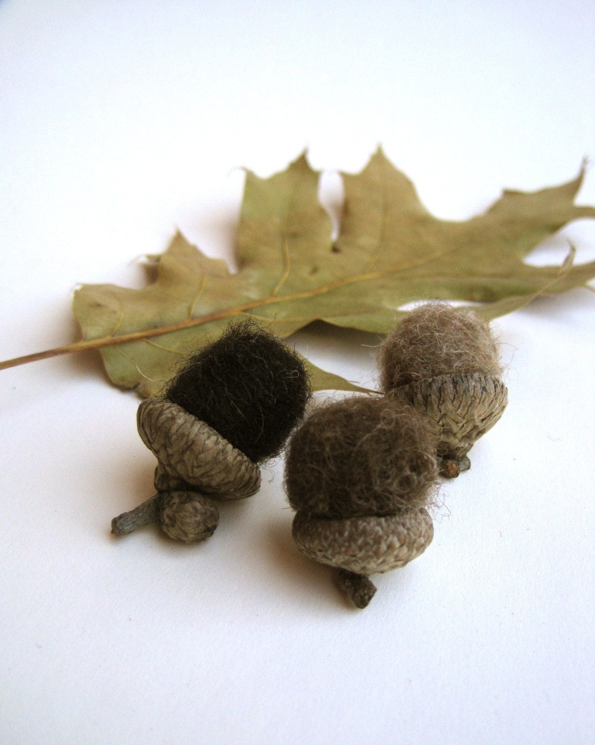 wool acorns set of 12 rustic brown / natural eco friendly autumn fall woodland decor