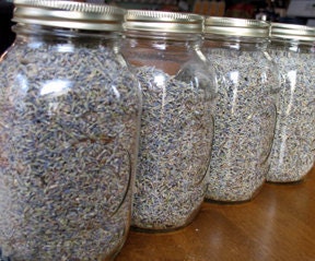 Dried Lavender Organic Food Grade,  whole dried herb 1 Pound, bulk Premium lavender flower buds