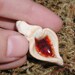 Clay Yoni Pendant with Orange Glass