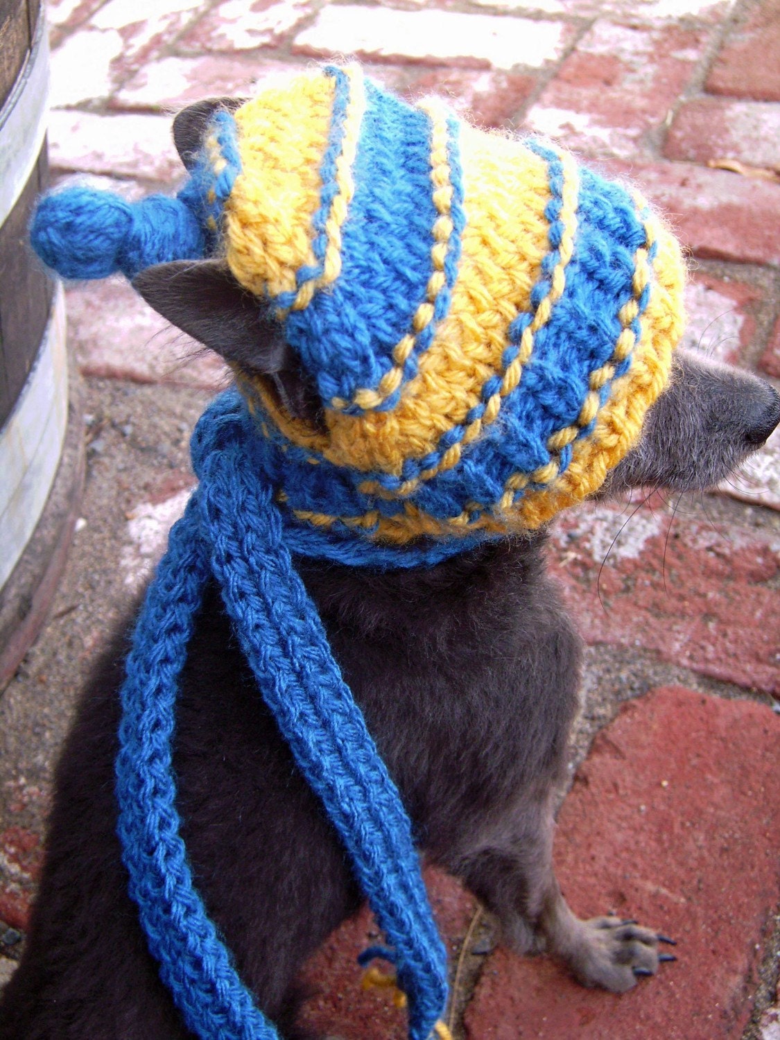Stripes Hand knit Dog hat Photo Prop