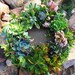Featured in Birds and Blooms Magazine, 12" Living Succulent Wreath, Unique, Order NOW to RECEIVE by CHRISTMAS