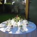 12 Succulent Wedding Favors, Rosettes in 3" White Ceramic Pots for Wedding, Baby or Bridal Shower, Now Available with Favor Boxes