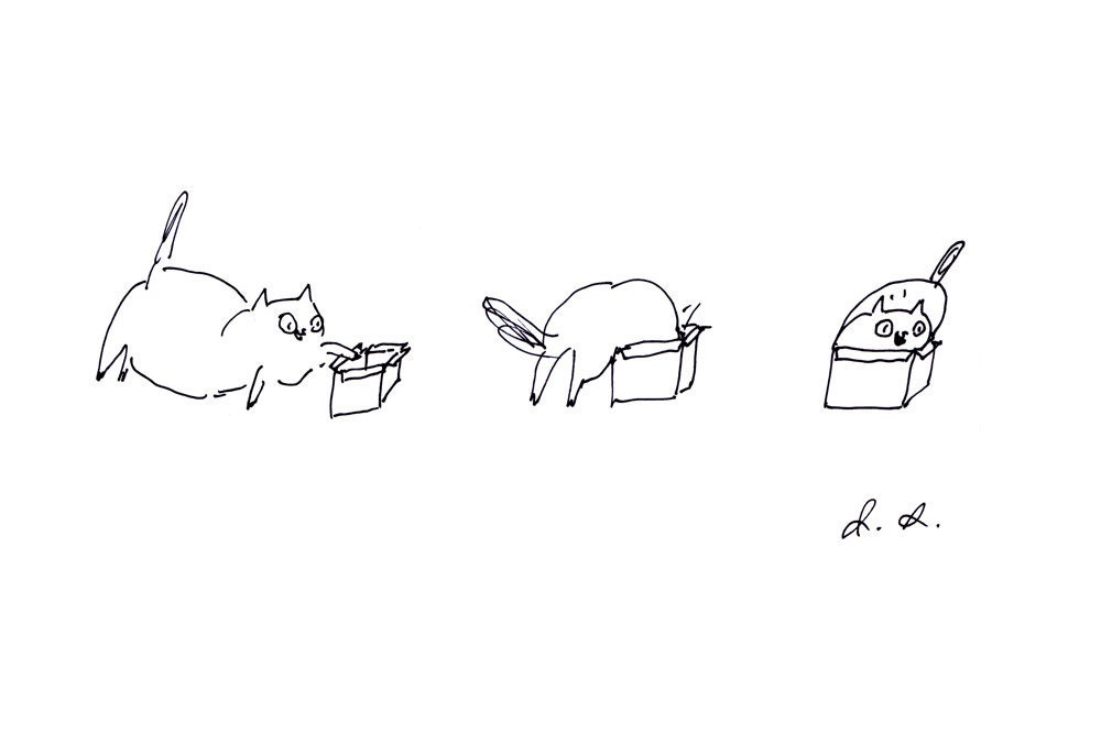 Cat in Box 2- Fine Art Print- Ink Drawing