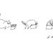 Cat in Box 2- Fine Art Print- Ink Drawing
