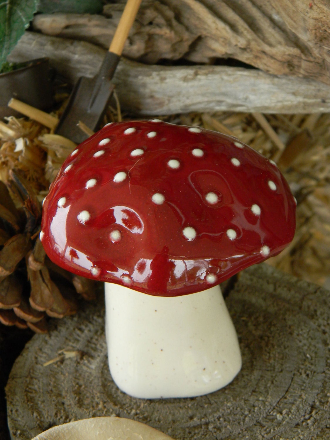 Fall+Mushrooms+in+Illinois Fall Mushrooms in Illinois http://www.etsy.com/listing/80431852 ...