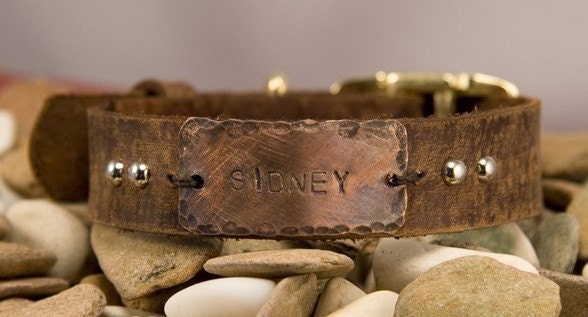 Leather dog collar, name, tag, distressed 3/4 in