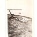 Vintage Photo Chubby Women Sunbathing Blanket Lake - Special Price