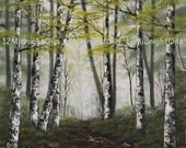 Secluded Pond Original Landscape Oil Painting