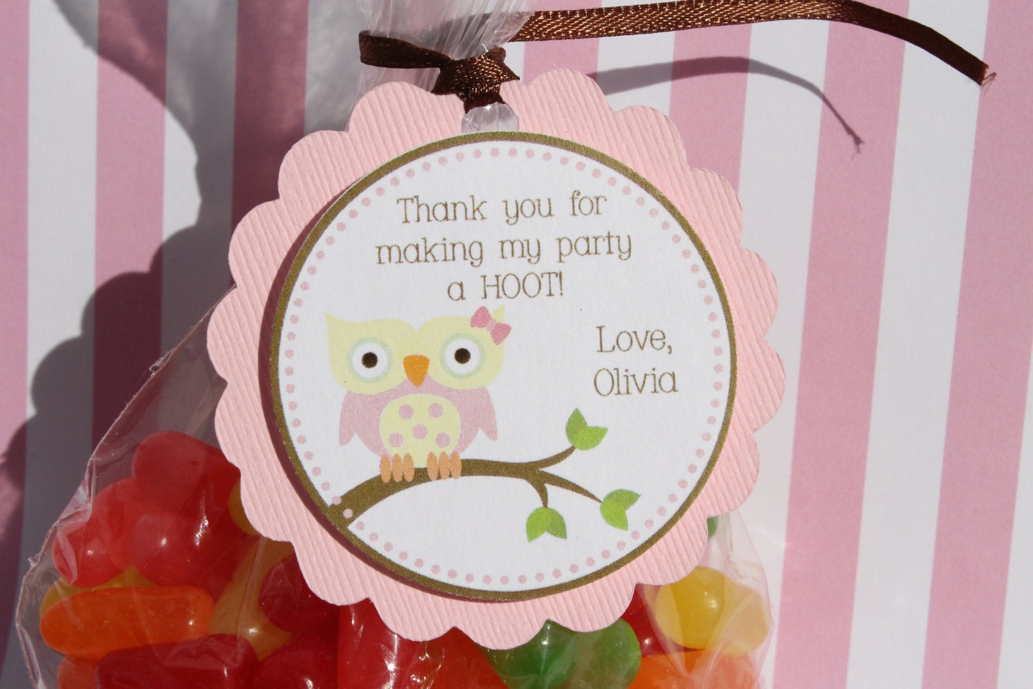 Girl Owl Birthday Party or Baby Shower Favor Tags Il_570xn