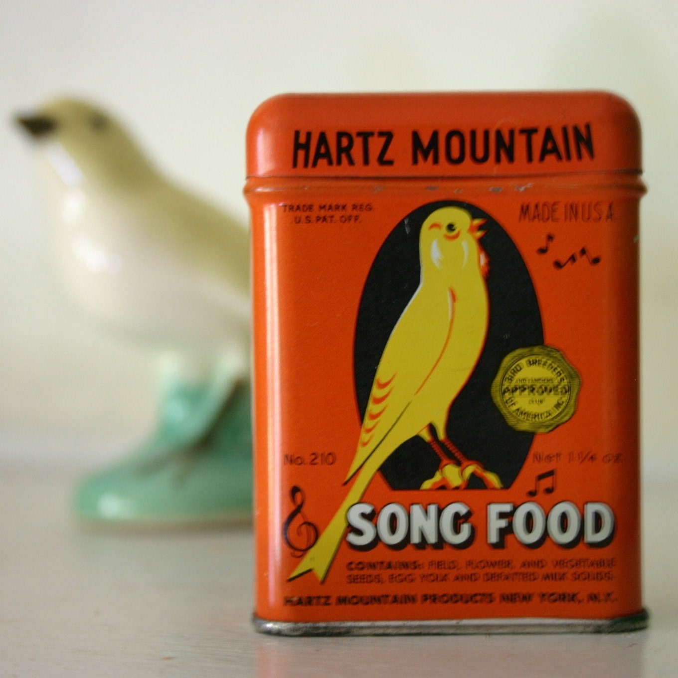 Hartz Canary Pictures 10