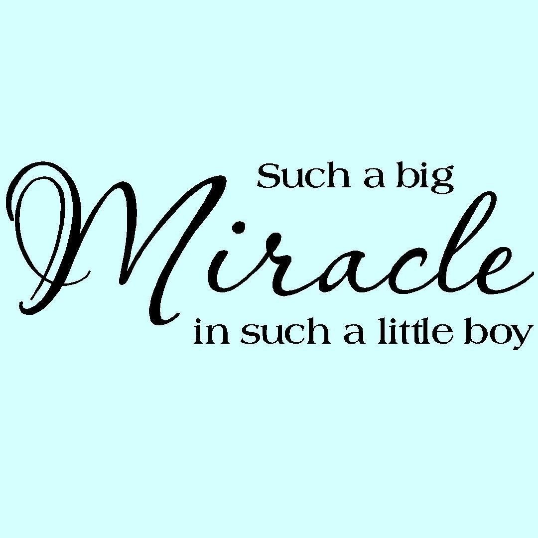 Such A Big Miracle In Such A Little Boy  vinyl lettering wall saying home decor quote decal 10 tall x 28 wide
