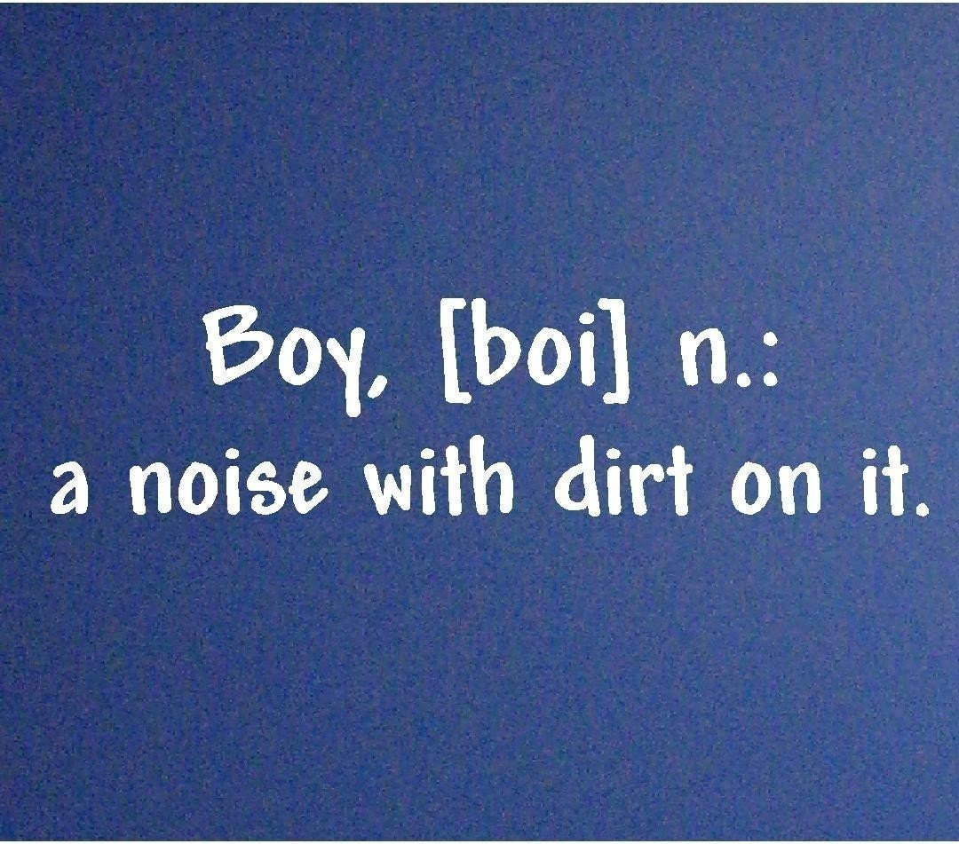 Boy a noise with dirt on it  Vinyl Lettering Wall Decal Sticker  2.5x34