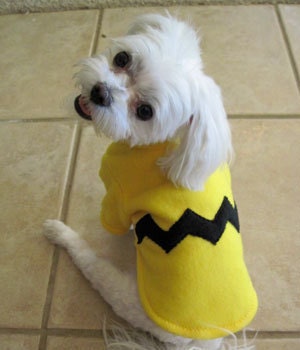 Cartoon Character Dog Halloween Costume
