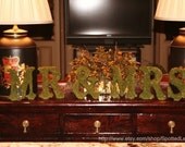 Moss Covered MR & MRS 6 inch standing WEDDING letters Initials Monogram