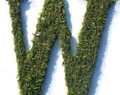Moss Covered 12 inch initial letter W