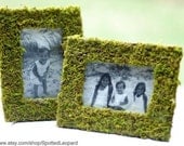 Small 4x6  Moss Frame