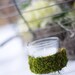 Moss Covered tea light votive candle holder wedding outdoor party