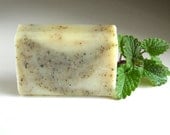 Double Mint - organic soap with essential oils and botanicals