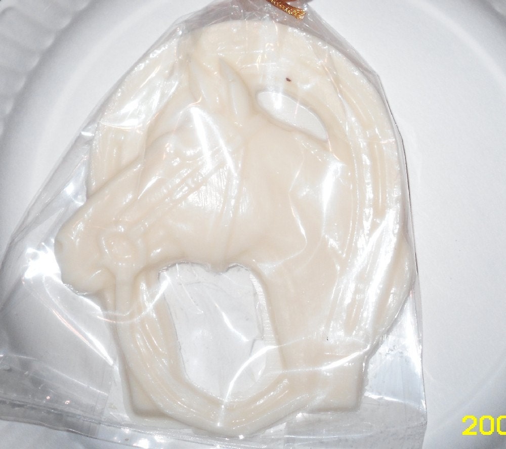 Horse Head in Horseshoe