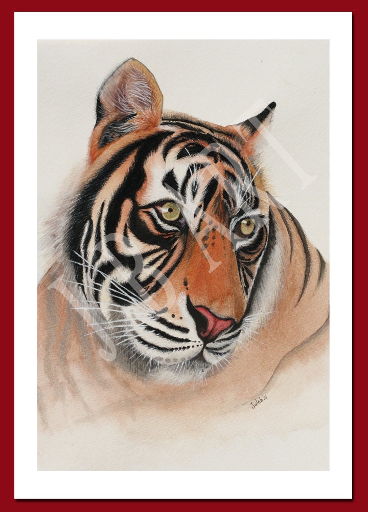 watercolor painting Tiger greeting card