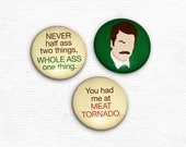 Ron Swanson Magnet Set of 3 Parks and Recreation inspired magnets