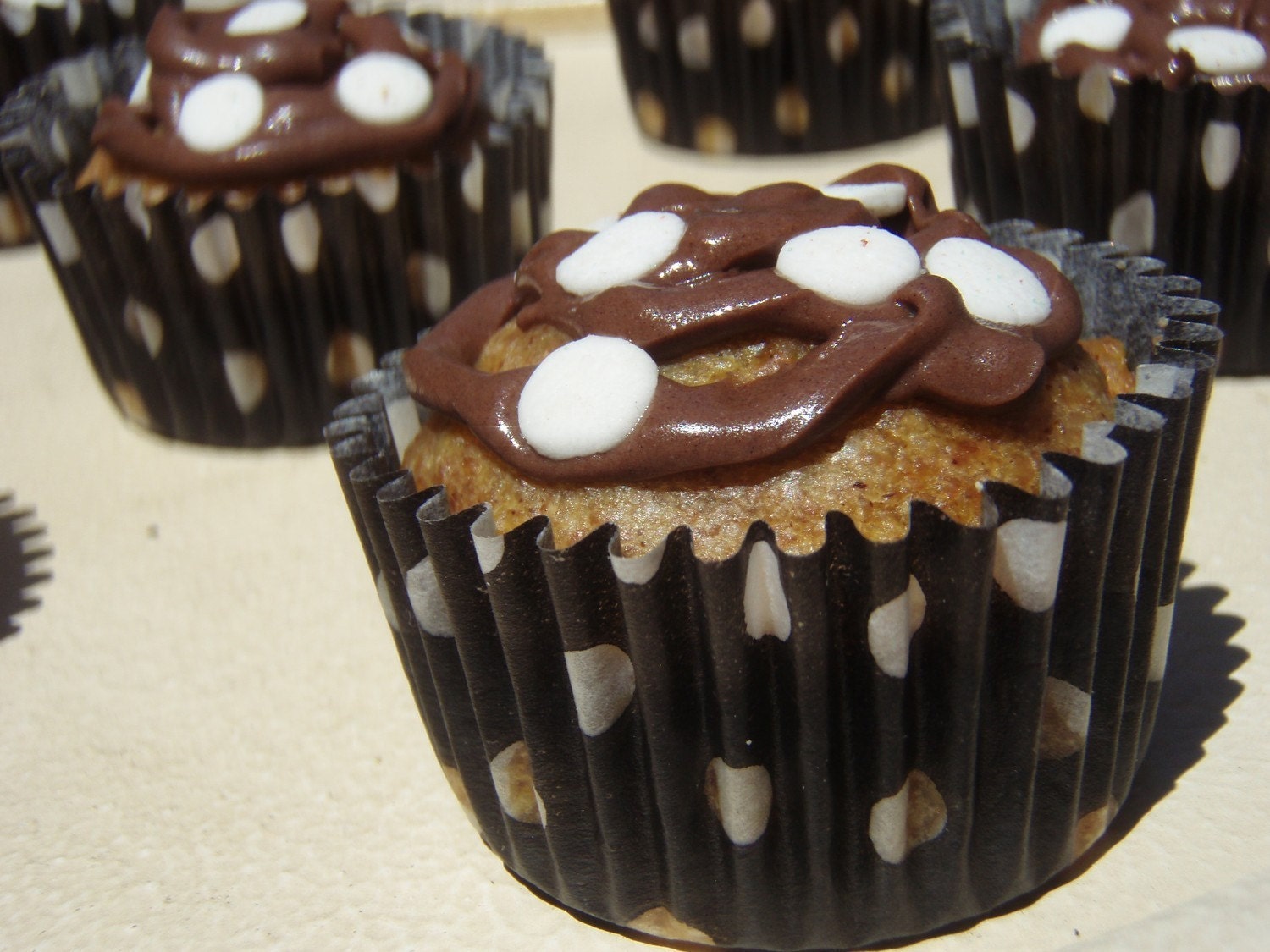 Gourmet Dog Treats - Diner Dots Pupcakes - Organic Dog Treats All Natural Vegetarian Gourmet - Shorty's Gourmet Treats