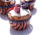 Gourmet Dog Treats - Nantucket Pupcakes - All Natural Dog Treats Organic Vegetarian - Shorty's Gourmet Treats