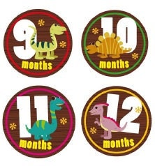 Dino-riffic- Monthly Onesie Stickers