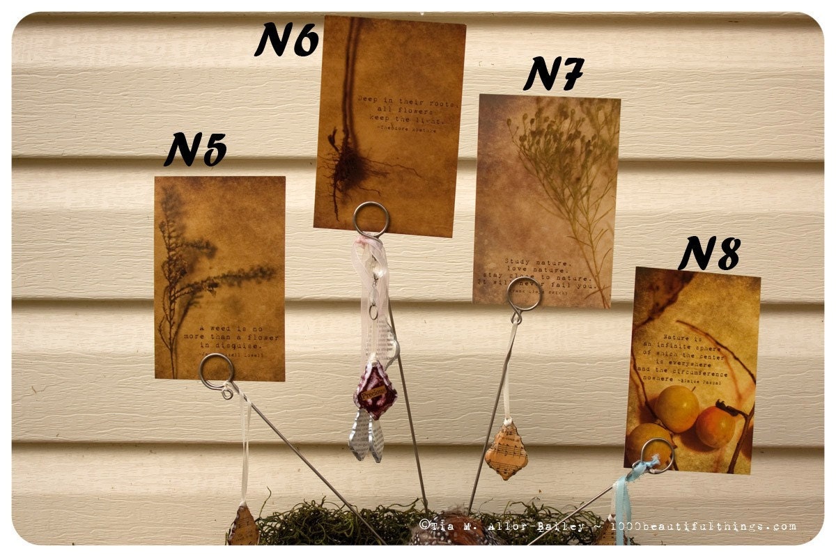 Sale POSTCARDS Nature Quotesl Postcard Fine Art Print Pick 1 N5-N8  ZNE fpoe poe team