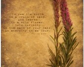 Sale To See The World  Nature quote Fine Art Print 12x12 ZNE fPOE