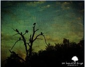 Sale Pecking Order 11x14 fpoe poe team