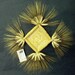 special order for liquidamber507