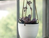 Scribble Hanging Planter