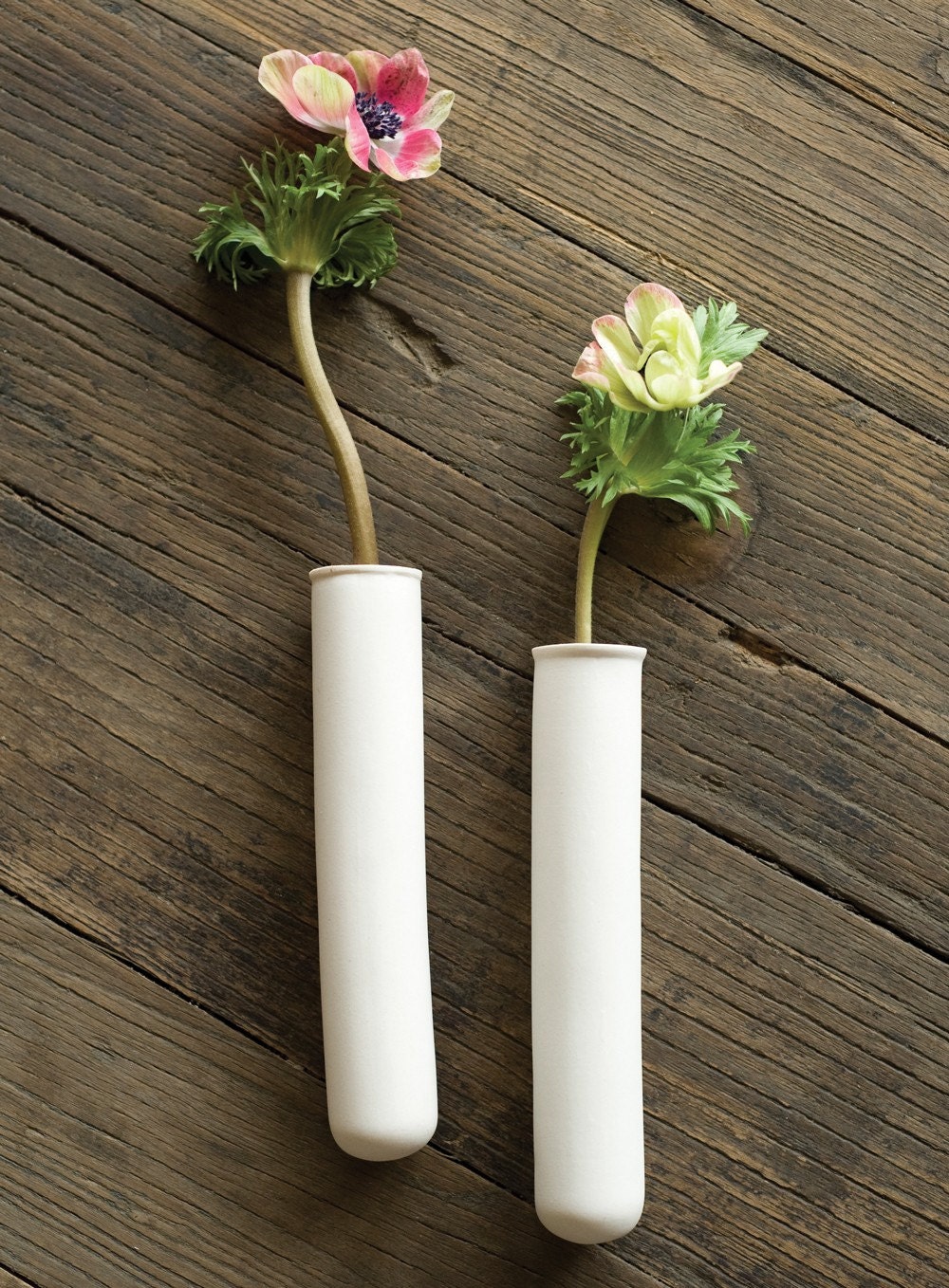 Wall Mount Test Tube Vase