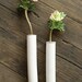 Wall Mount Test Tube Vase