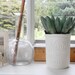 Kerr Jar Planter DISCONTINUING SALE