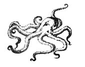 Spoctopus - Small Print