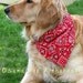 Quilted Dog Portrait - "Golden Boy"