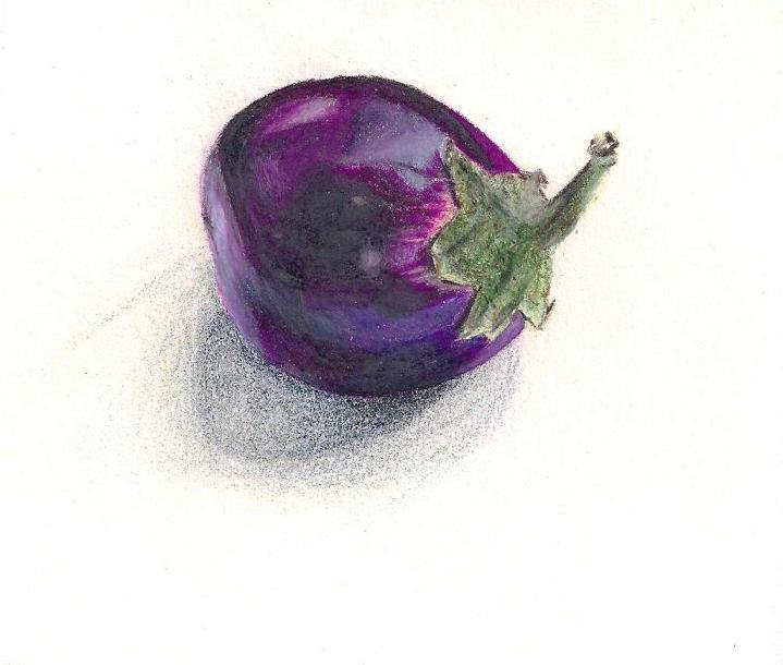Eggplant Drawing Original Colored Pencil