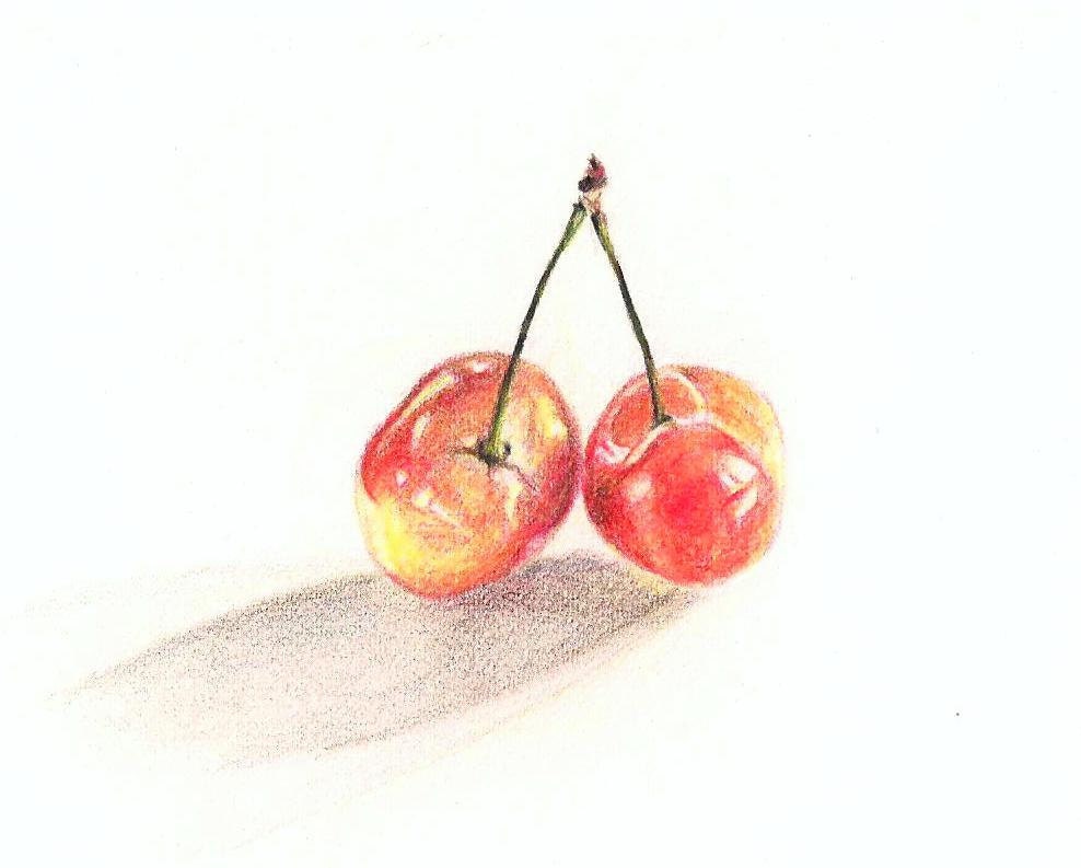 Rainier Cherries Small Drawing