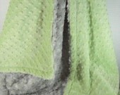 Sage and Silver Gray Rose Swirl Minky Baby Blanket Monogram Included  