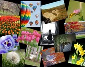 Choose Any Photo at JWPhotography Etsy in an 8x10 Print