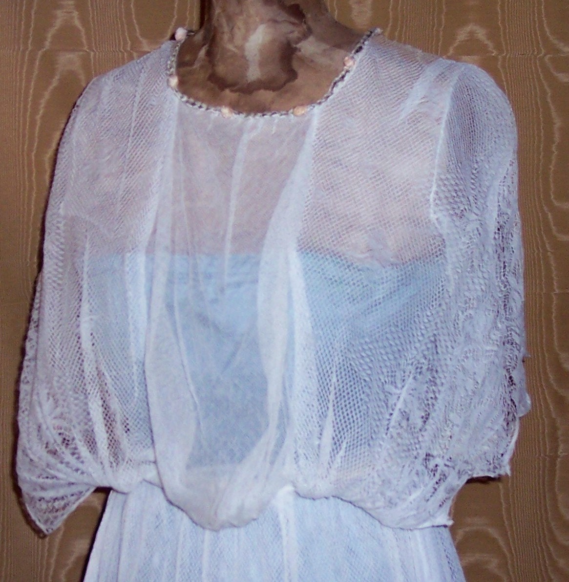 Edwardian Shadow Lace and Rosette Dress